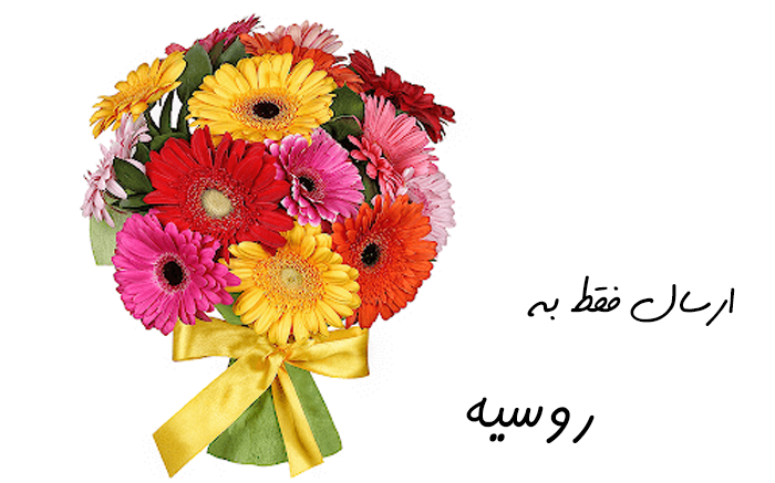 عکس گل ژیپسوفیلا