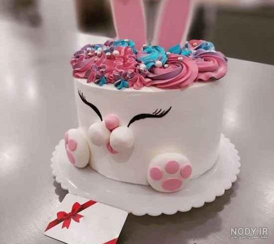 کیک تولد دخترانه: ایده‌هایی برای انتخاب یک کیک زیبا و خاص | ساتیشو