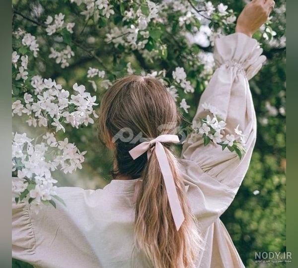 گالری عکس گل رز صورتی عاشقانه و زیبا برای پروفایل با کیفیت بالا گالری عکس گل رز صورتی عاشقانه و زیبا برای پروفایل با کیفیت بالا