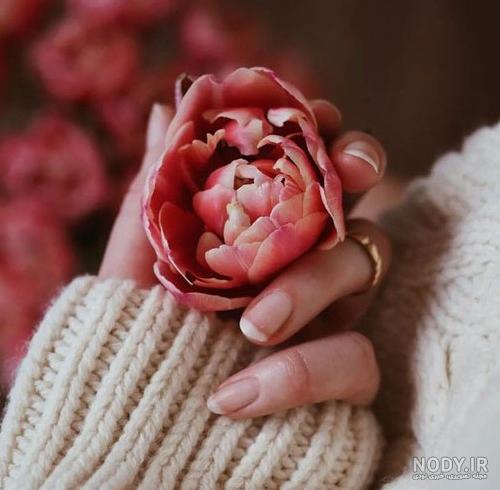 گرانج گل صورتی🌷 - عکس ویسگون گرانج گل صورتی🌷 - عکس ویسگون