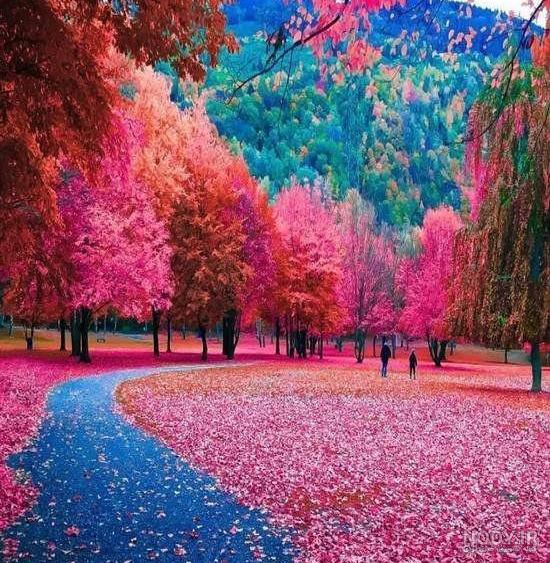 ۶۰ عکس پروفایل رویایی جذاب برای دختران و پسران جوان