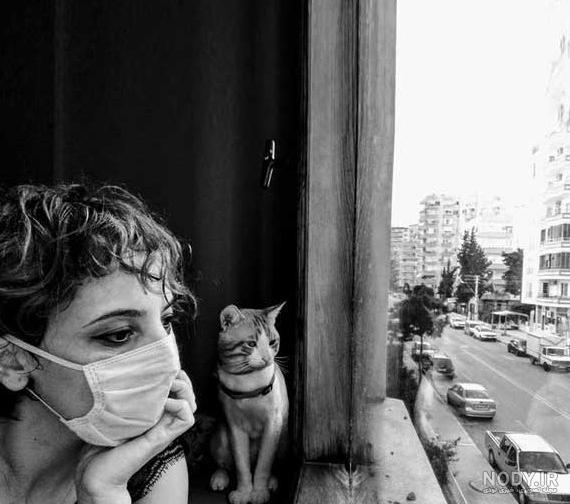 ۶۲ عکس پروفایل گربه های بامزه و دوست داشتنی ۶۲ عکس پروفایل گربه های بامزه و دوست داشتنی