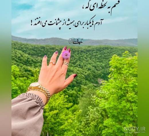 ۶۲ عکس پروفایل گربه های بامزه و دوست داشتنی ۶۲ عکس پروفایل گربه های بامزه و دوست داشتنی