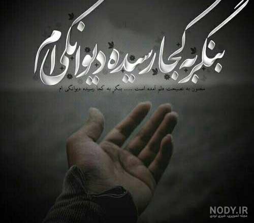 دیوانه | تاو پروفایل