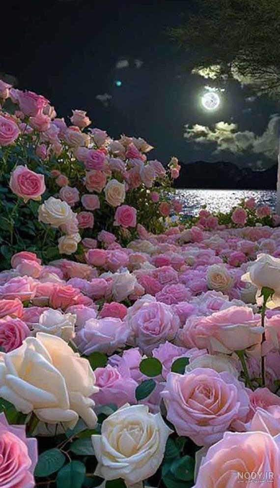 عکس پروفایل دخترونه روبه دریا