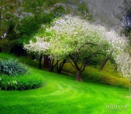 عکس پروفایل دیوانگی + متن های زیبای مفهومی و سنگین عشقی