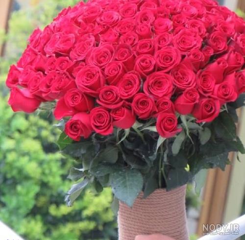 عکس گلهای زیبا برای پروفایل 2023; بدون متن و بسیار زیبا - گلین بانو