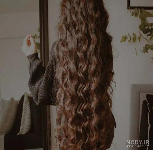 عکسهای زیبا برای پروفایل گل