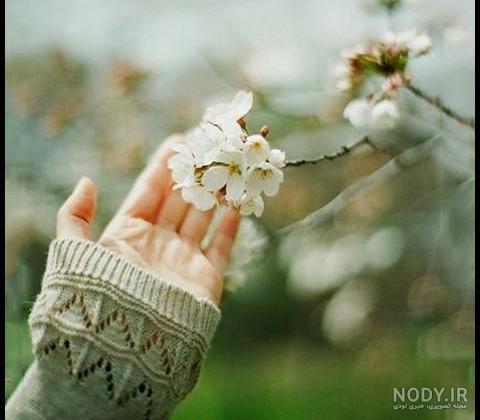 عکس دختر بهار برای پروفایل