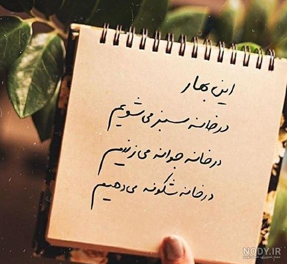 عکس شکوفه بهاری برای پروفایل