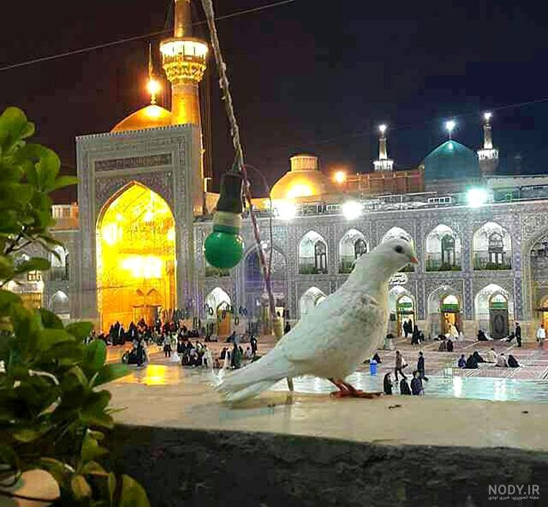 عکس های مذهبی از حرم امام رضا (ع) در مشهد مقدس برای پروفایل