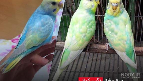 عکس نوشته درباره غیرت - تــــــــوپ تـــــــــاپ