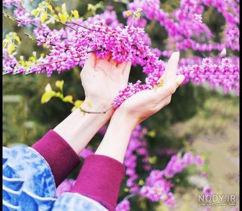 عکس پروفایل بهاری عاشقانه +جملات و اشعار زیبا در فصل بهار