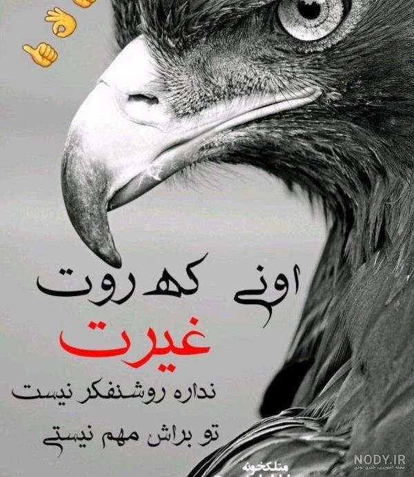 پروفایل هایی که گذاشتم روی خطی که فقط اون داره+عکس | تبادل نظر نی ...