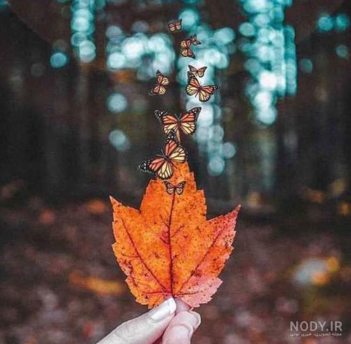 گالری عکس پروفایل جدید امسال بدون متن شیک - تــــــــوپ تـــــــــاپ گالری عکس پروفایل جدید امسال بدون متن شیک - تــــــــوپ تـــــــــاپ