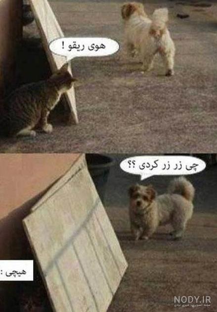 آلبوم عکس نوشته حمایت از حیوانات - تــــــــوپ تـــــــــاپ آلبوم عکس نوشته حمایت از حیوانات - تــــــــوپ تـــــــــاپ