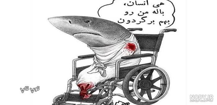 آلبوم عکس نوشته حمایت از حیوانات - تــــــــوپ تـــــــــاپ آلبوم عکس نوشته حمایت از حیوانات - تــــــــوپ تـــــــــاپ