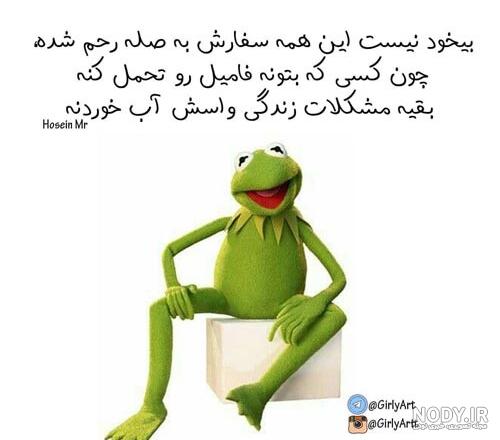 جملات و پروفایل نیش دار جدید به فامیل، دوست و خانواده شوهر