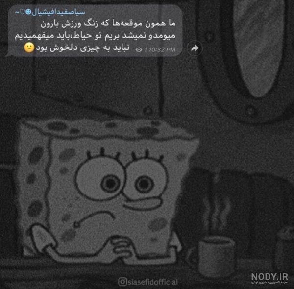 عکس های خنده دار باب اسفنجی