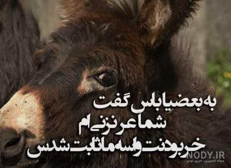 عکس نوشته تیکه دار برای فامیل بد