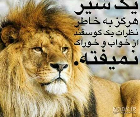 عکس نوشته حیوانات برای پروفایل عکس نوشته حیوانات برای پروفایل