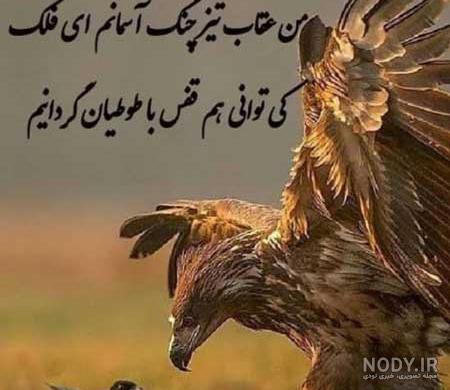 عکس نوشته حیوانات برای پروفایل عکس نوشته حیوانات برای پروفایل