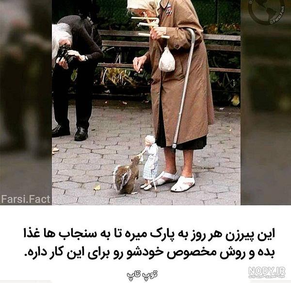 عکس پروفایل حیوانات با نوشته عکس پروفایل حیوانات با نوشته