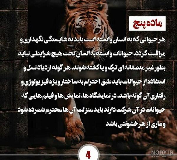 عکس پروفایل پسرانه حیوانات وحشی - عکس نودی عکس پروفایل پسرانه حیوانات وحشی - عکس نودی