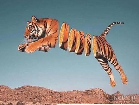 عکس پروفایل پسرانه حیوانات وحشی - عکس نودی
