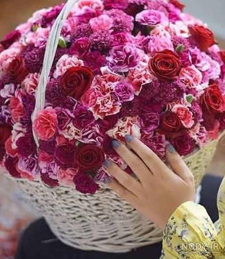 عکس گل برای پروفایل واتساپ | عکس گل برای پروفایل واتساپ دخترانه ...