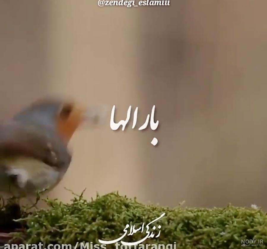 ببر منو پیش خودت ⁦ಥ_ಥ⁩