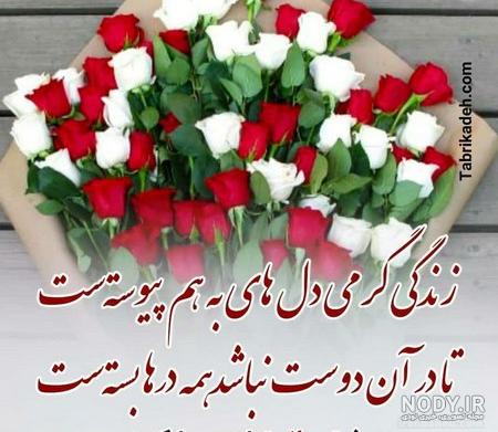 عکس تولد رفیق بدون متن