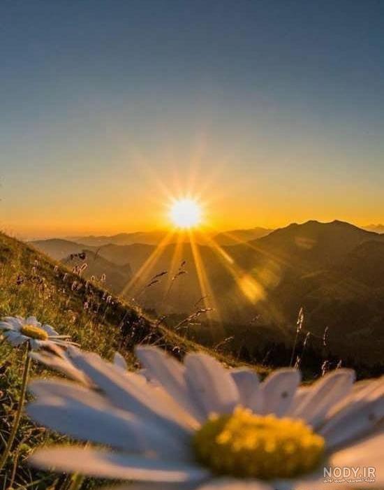 عکس زیبای بهار برای پروفایل