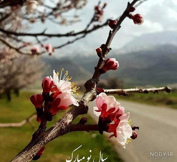 عکس زیبای بهار برای پروفایل ۱۴۰۰ - عکس نودی