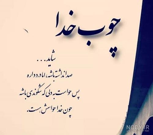 عکس پروف چوب خدا صدا نداره