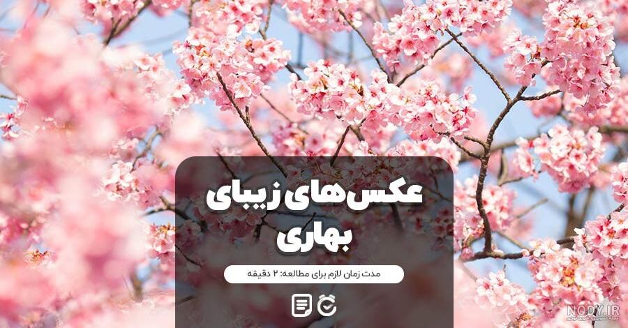 عکس پروفایل بهاری 2023 | عکس طبیعت بهاری| عکس بهار | عکس پروفایل ...