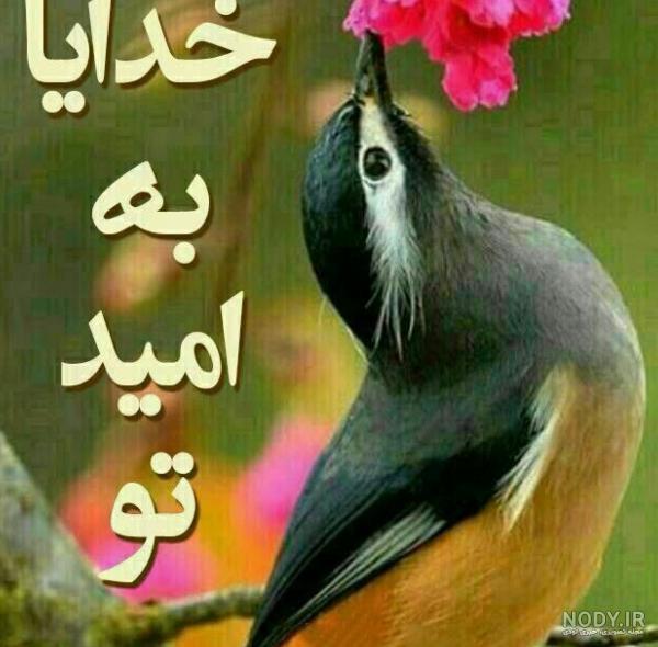 عکس پروفایل خدایا به امید تو