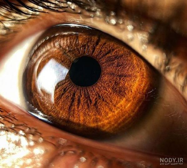 عکس پروفایل چشم قهوه ای - عکس نودی