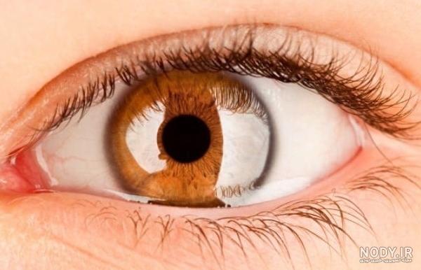 عکس چشم قهوه ای روشن برای پروفایل