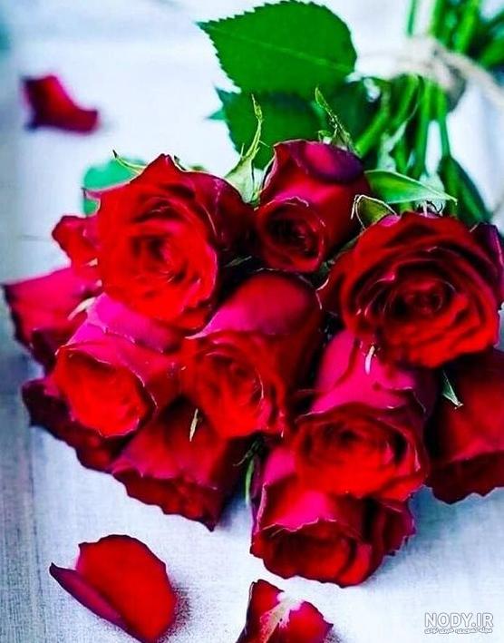 عکس گل زیبا برای پروفایل دخترونه جدید