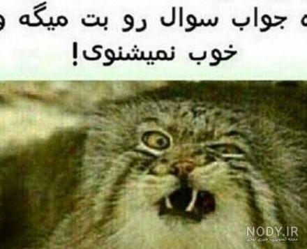 عکس خنده دار برای امتحانات عکس خنده دار برای امتحانات