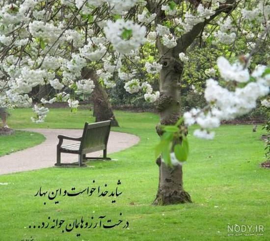 عکس نوشته های بهاری برای پروفایل شاد و خاص | اشعار و متن عاشقانه بهار عکس نوشته های بهاری برای پروفایل شاد و خاص | اشعار و متن عاشقانه بهار
