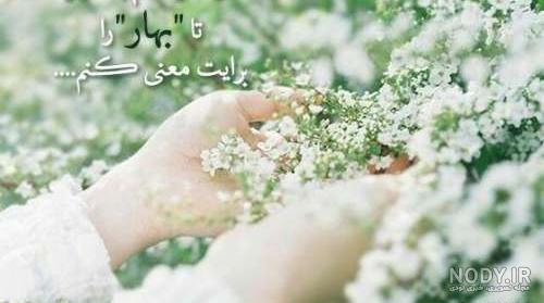 عکس پروفایل آمدن بهار - عکس نودی