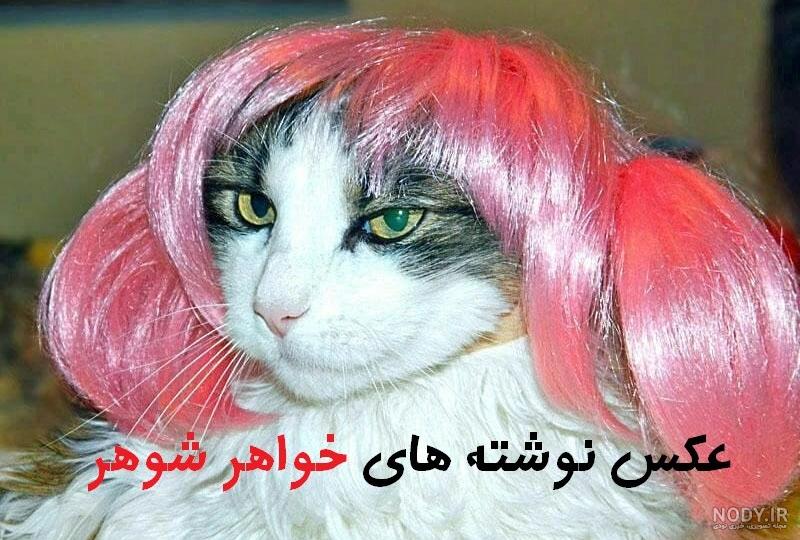 عکس پروفایل تیکه دار به فامیل شوهر - کامل (مولیزی) عکس پروفایل تیکه دار به فامیل شوهر - کامل (مولیزی)