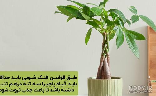 عکس پروفایل پول و دلار