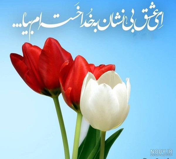 عکس امام زمان با گل - عکس نودی