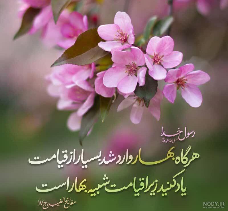 عکس بهاری امام زمانی