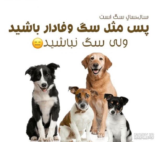 عکس دختر با سگ برای پروفایل فانتزی - عکس نودی