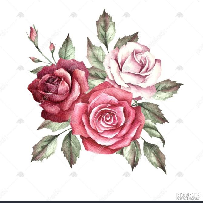 عکس دختر برای پروفایل در طبیعت