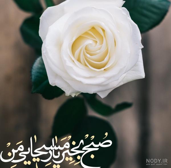 عکس نوشته صبح بخیر مهدوی